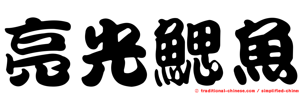 亮光鰓魚