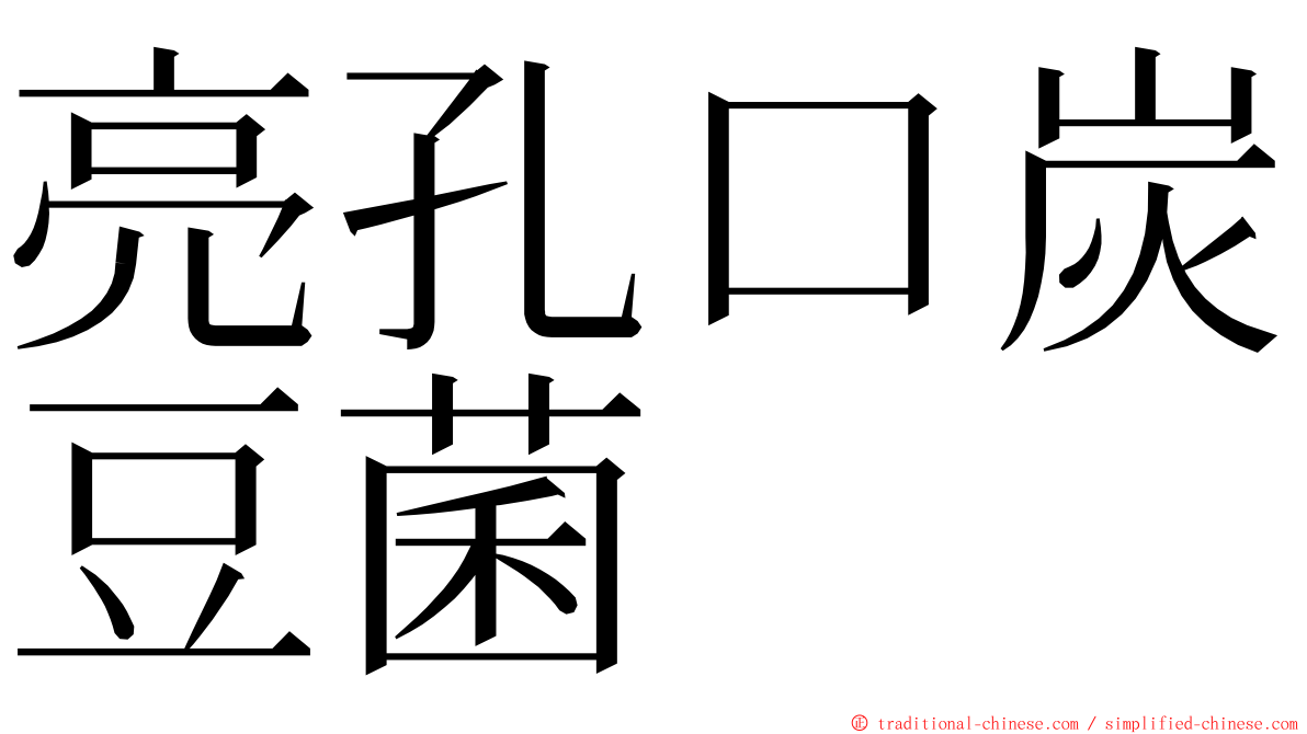 亮孔口炭豆菌 ming font