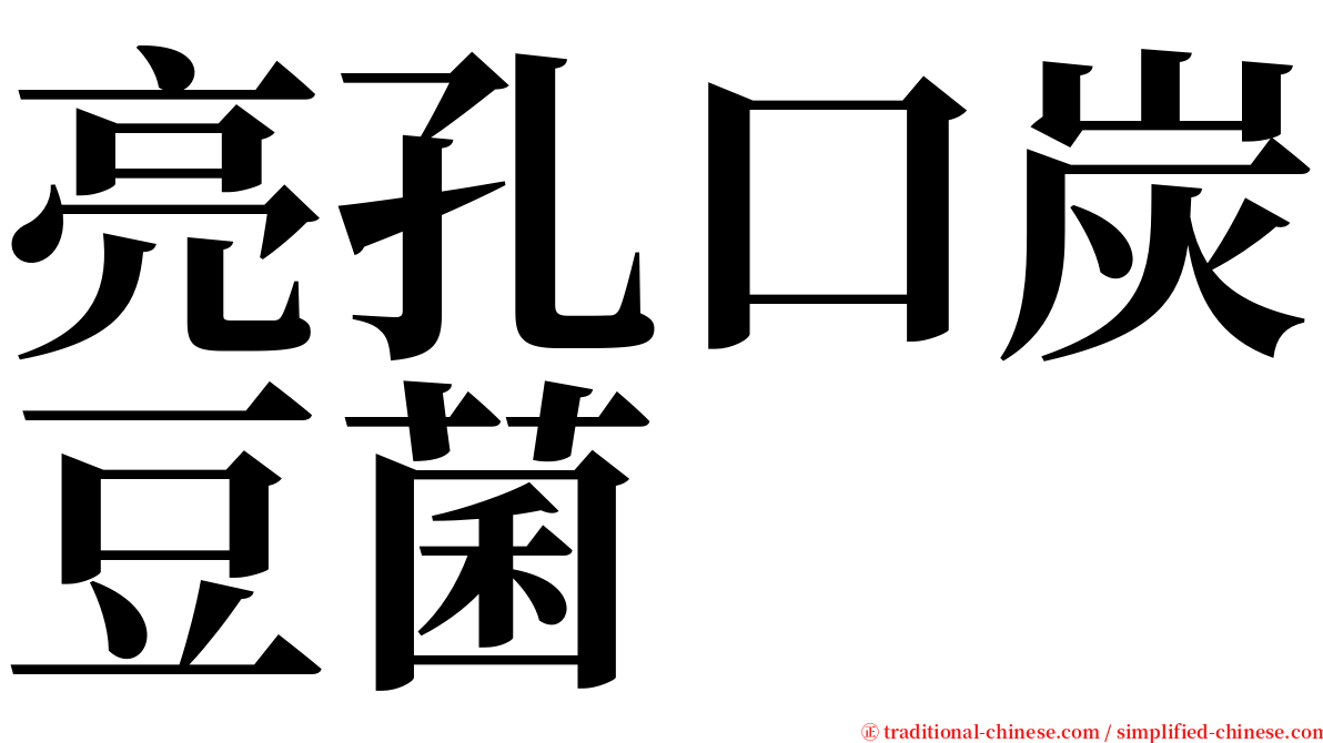 亮孔口炭豆菌 serif font
