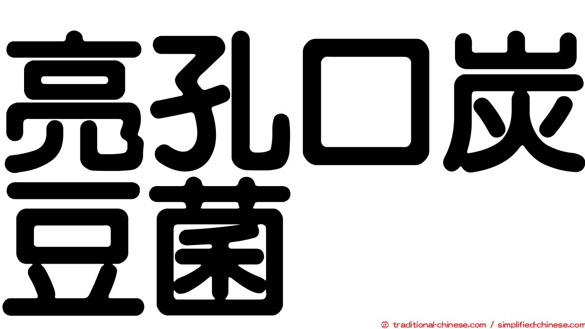 亮孔口炭豆菌