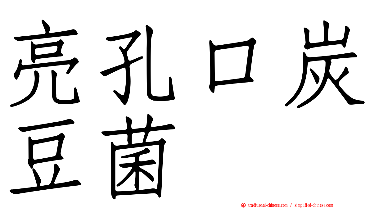 亮孔口炭豆菌
