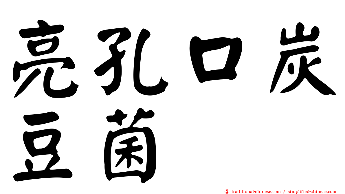 亮孔口炭豆菌