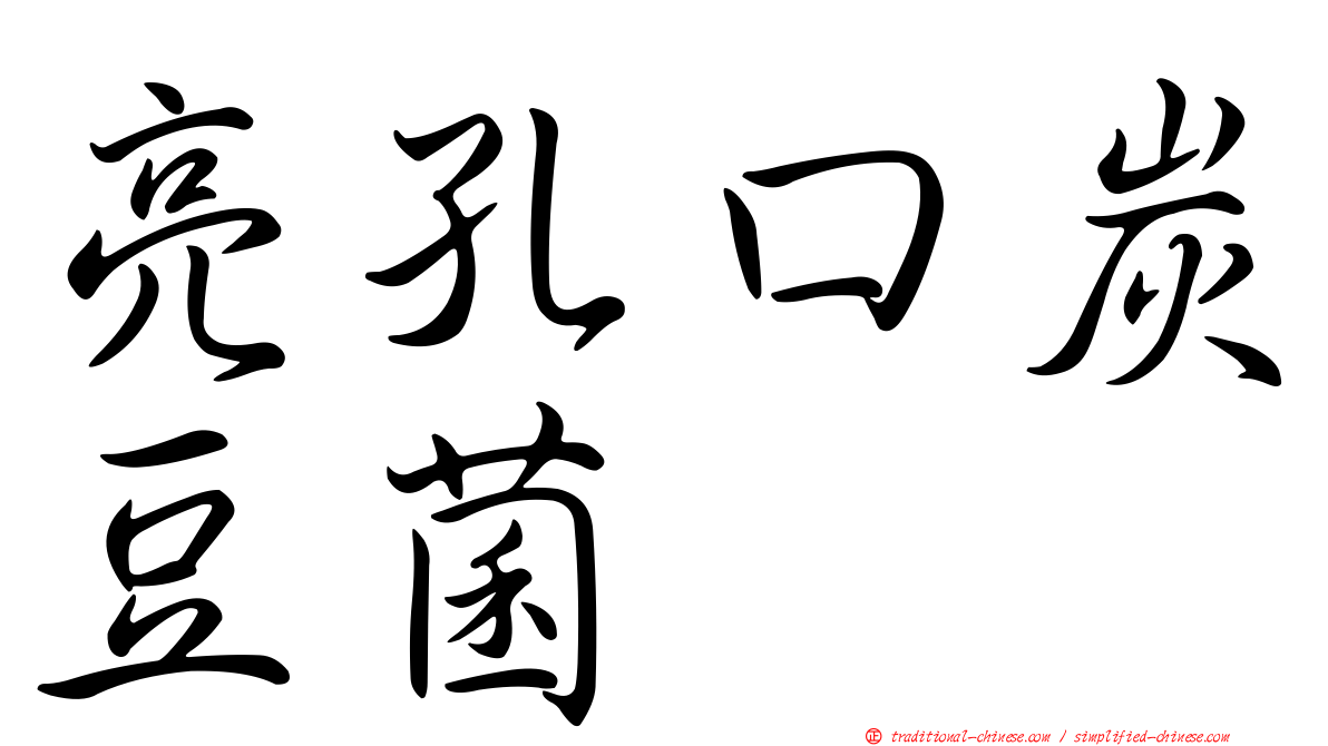 亮孔口炭豆菌