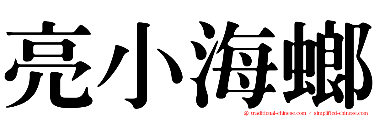 亮小海螂