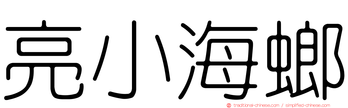 亮小海螂