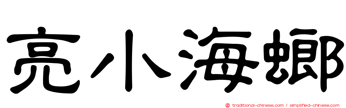 亮小海螂
