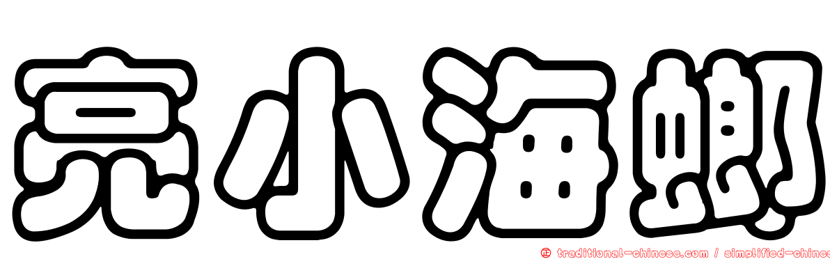 亮小海螂