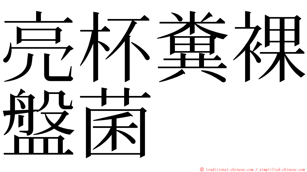 亮杯糞裸盤菌 ming font
