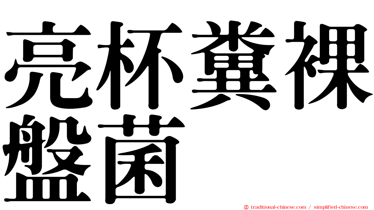亮杯糞裸盤菌