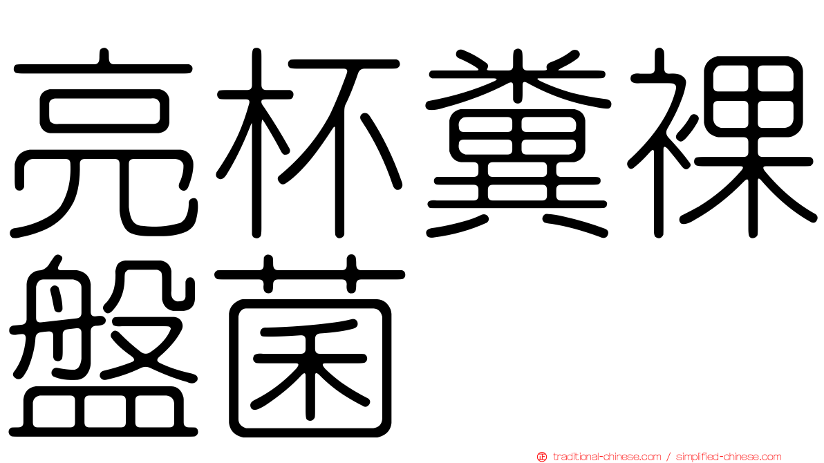 亮杯糞裸盤菌