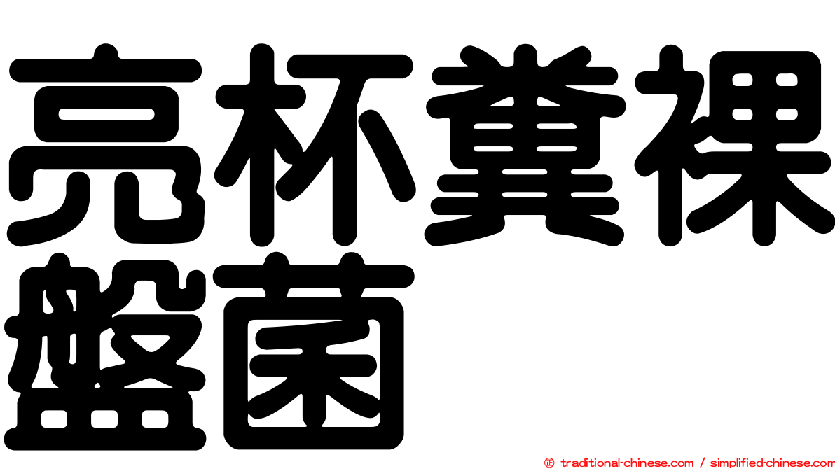 亮杯糞裸盤菌