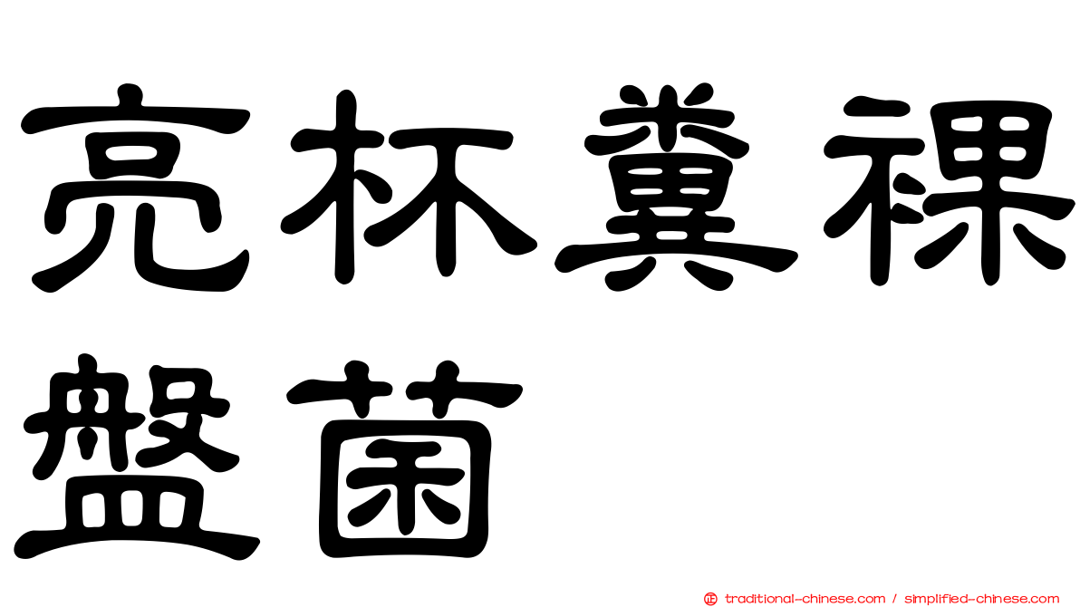 亮杯糞裸盤菌