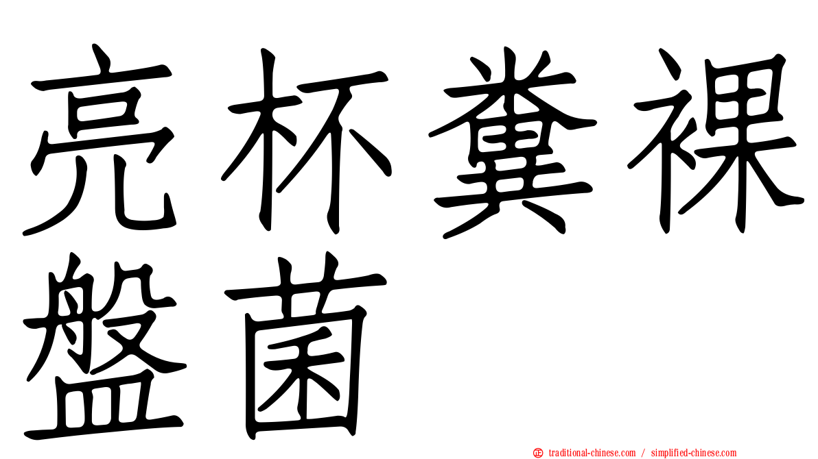 亮杯糞裸盤菌