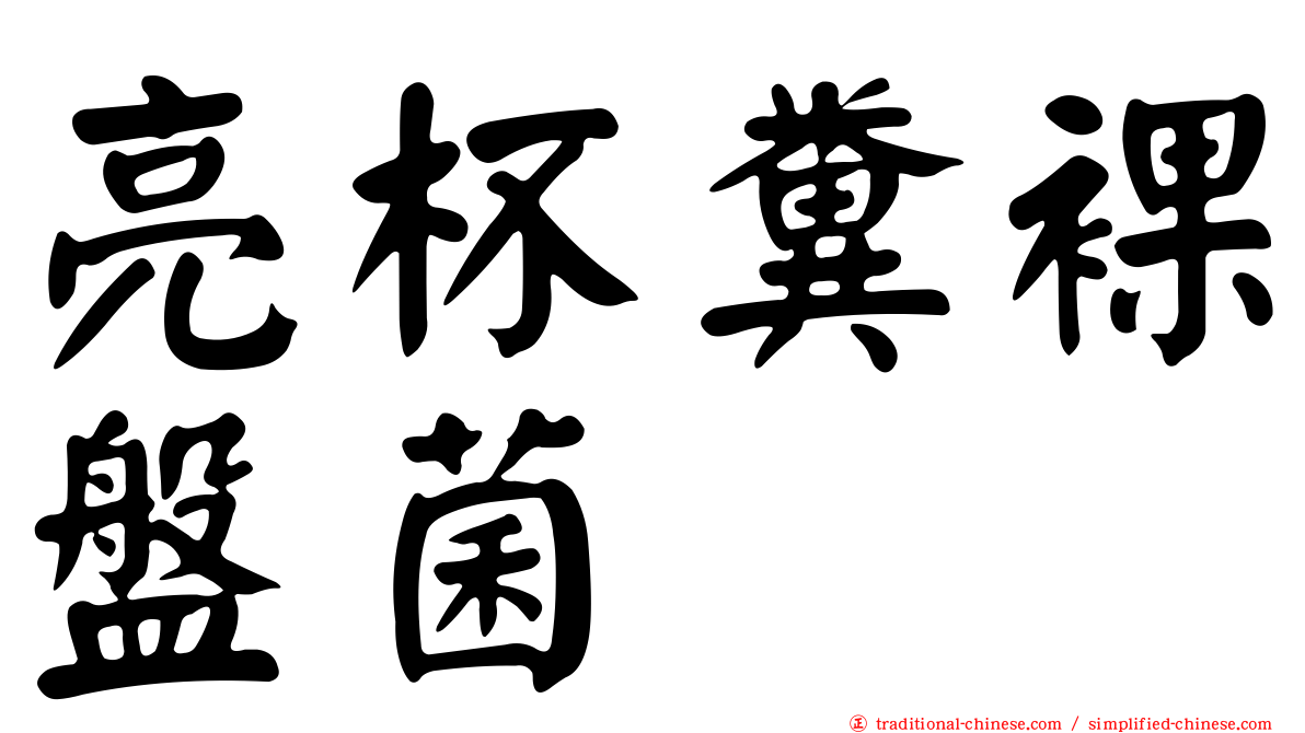 亮杯糞裸盤菌