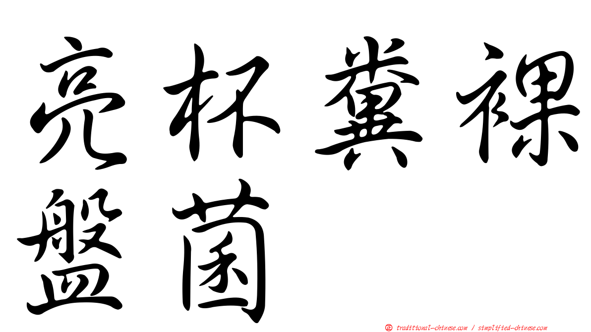 亮杯糞裸盤菌