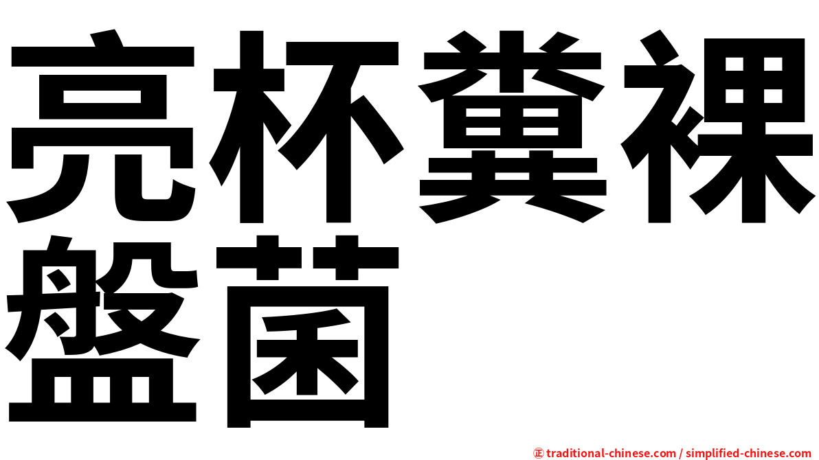 亮杯糞裸盤菌