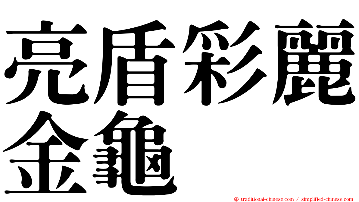 亮盾彩麗金龜