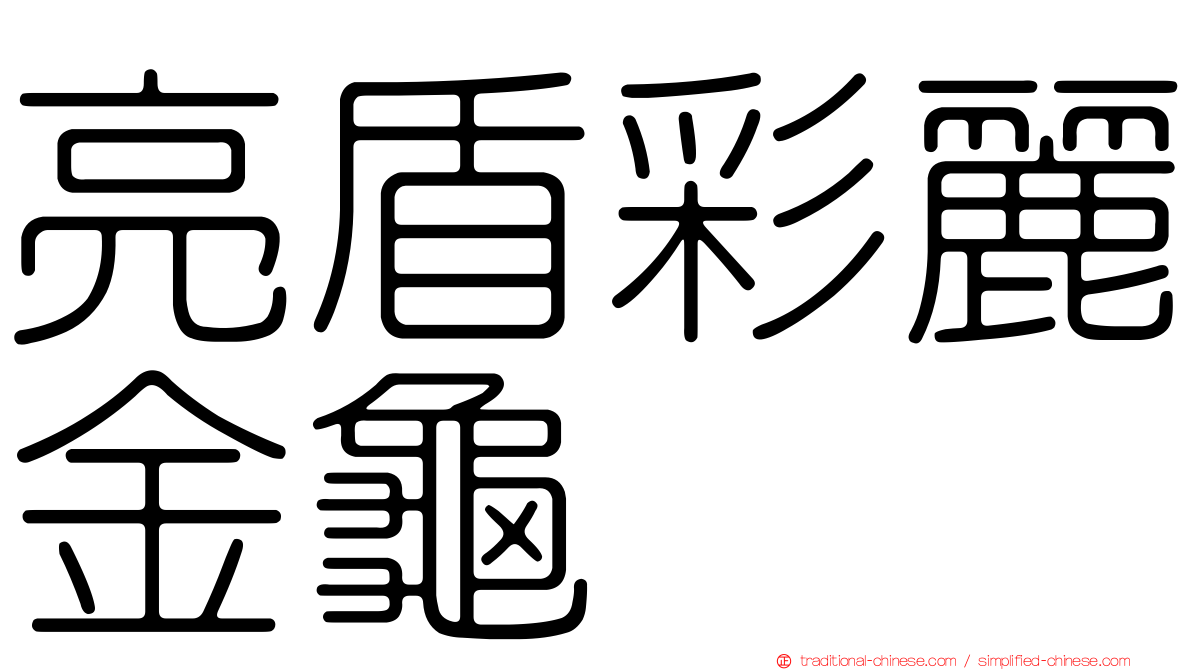 亮盾彩麗金龜