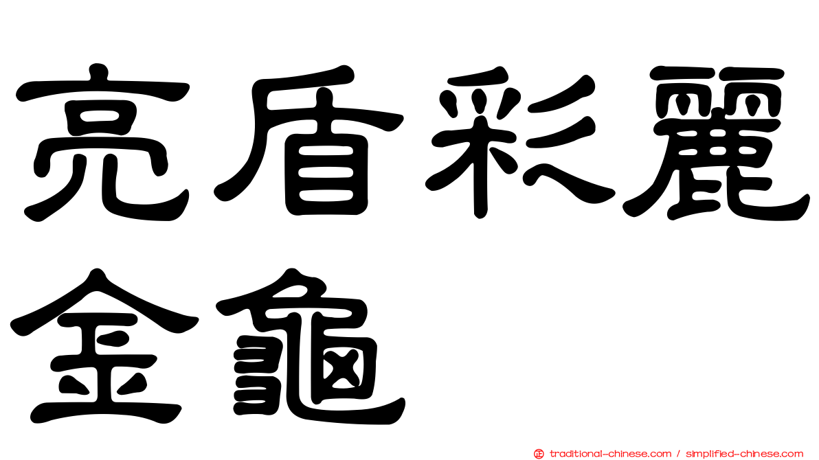 亮盾彩麗金龜