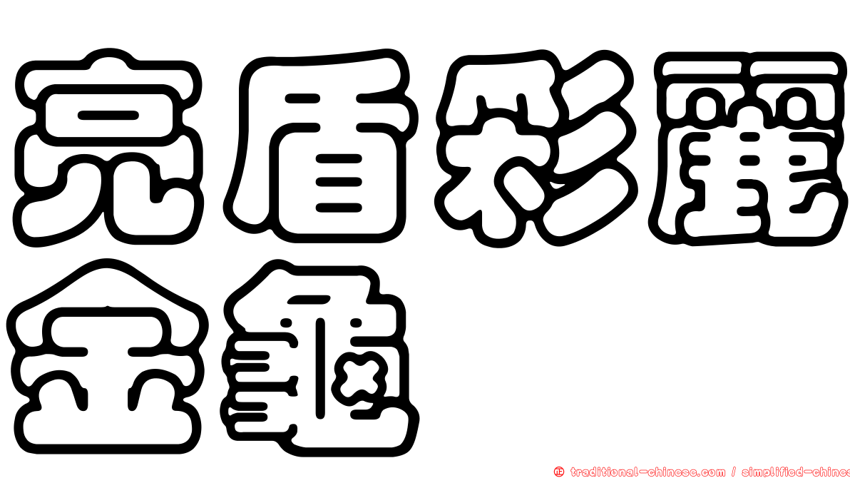 亮盾彩麗金龜