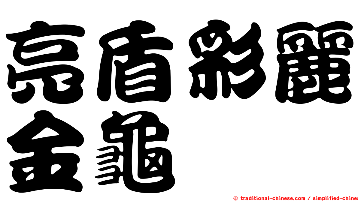 亮盾彩麗金龜