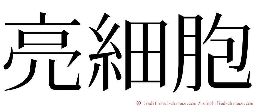 亮細胞 ming font