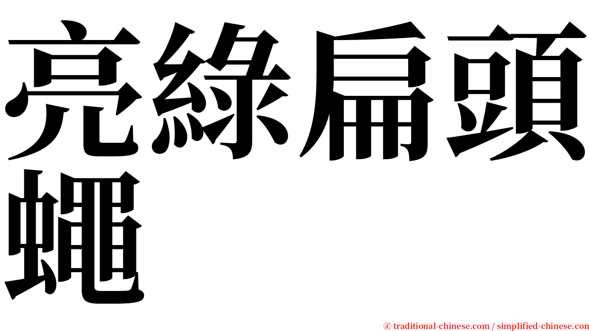 亮綠扁頭蠅 serif font