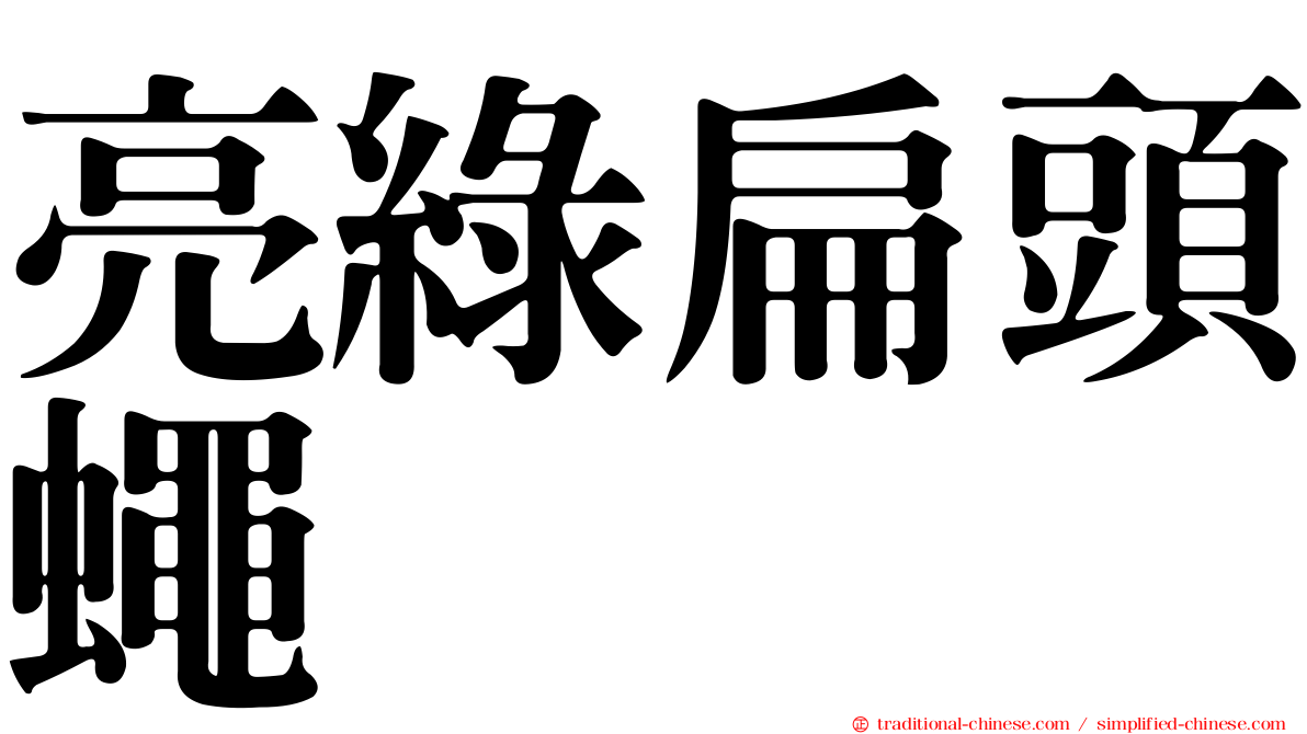 亮綠扁頭蠅