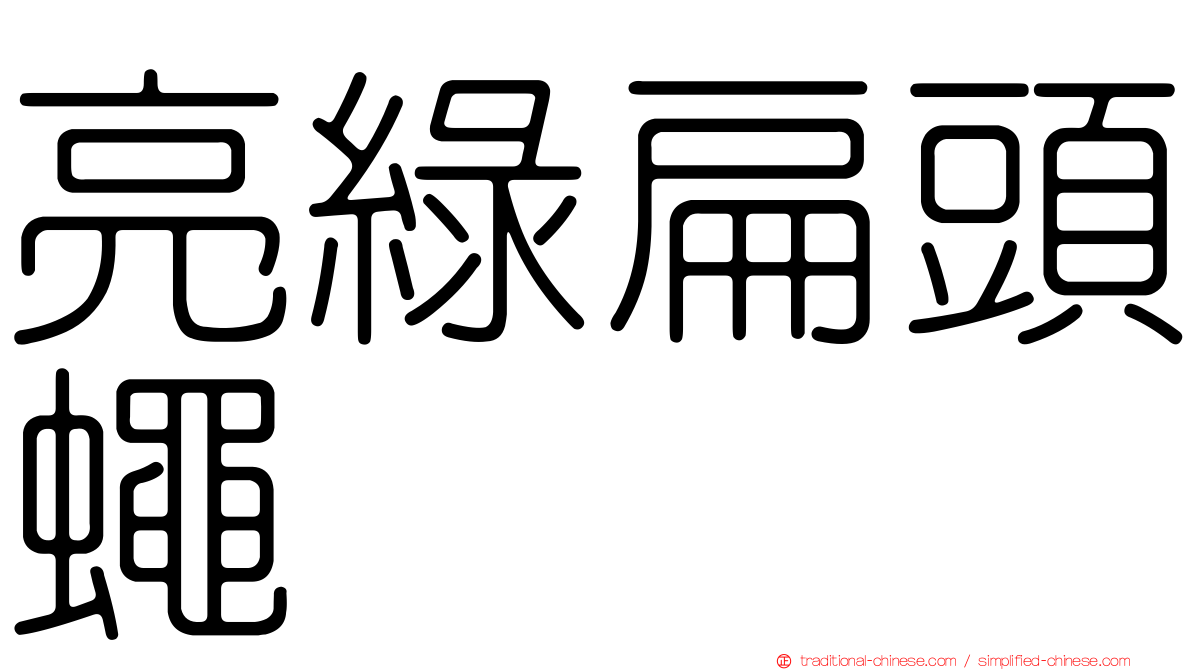 亮綠扁頭蠅