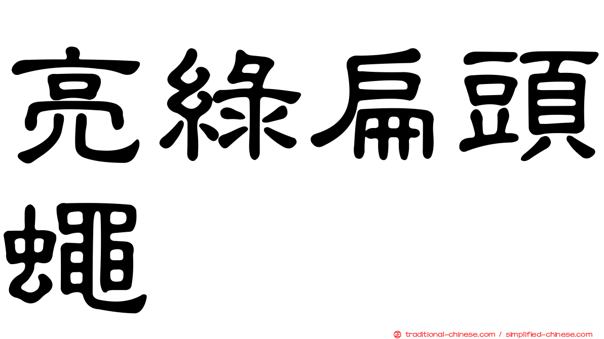 亮綠扁頭蠅