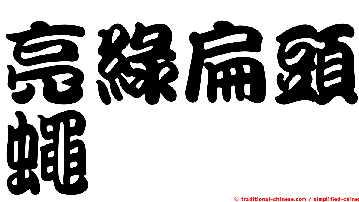亮綠扁頭蠅