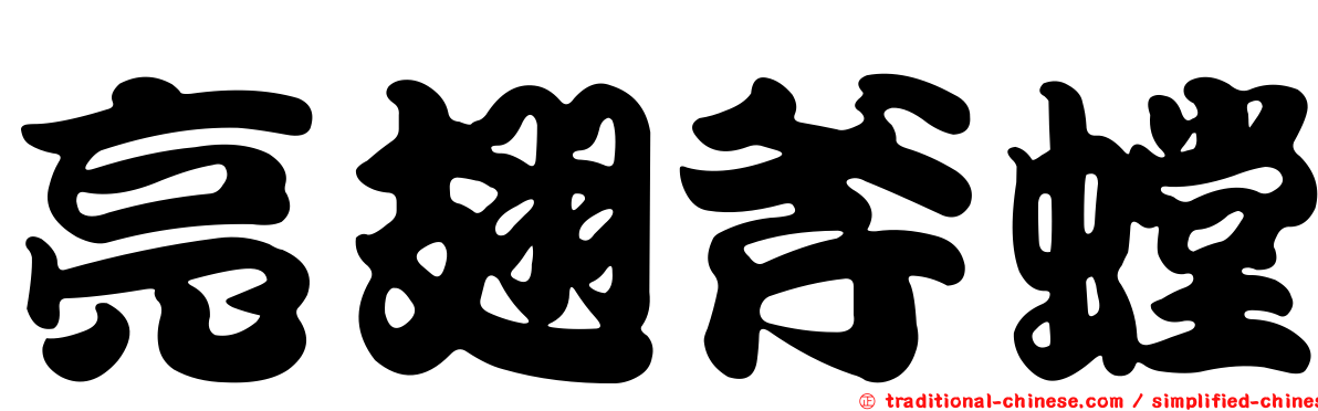 亮翅斧螳