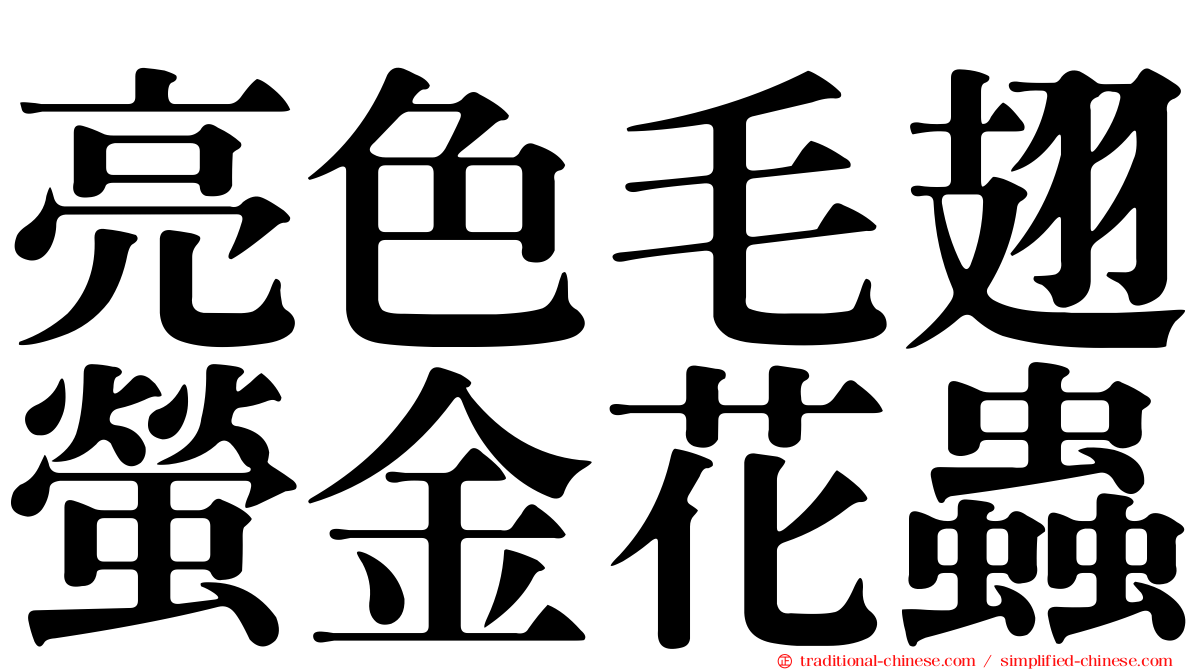 亮色毛翅螢金花蟲