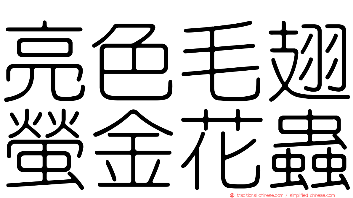 亮色毛翅螢金花蟲