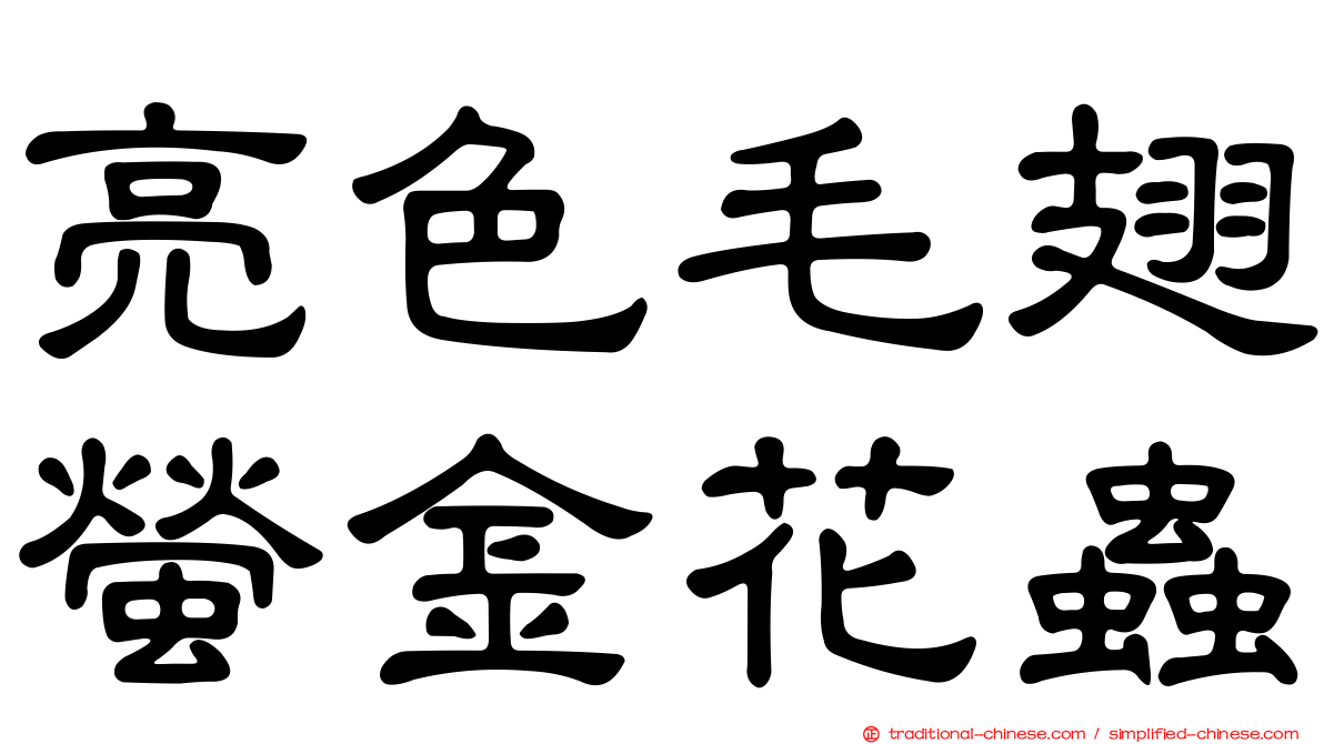 亮色毛翅螢金花蟲