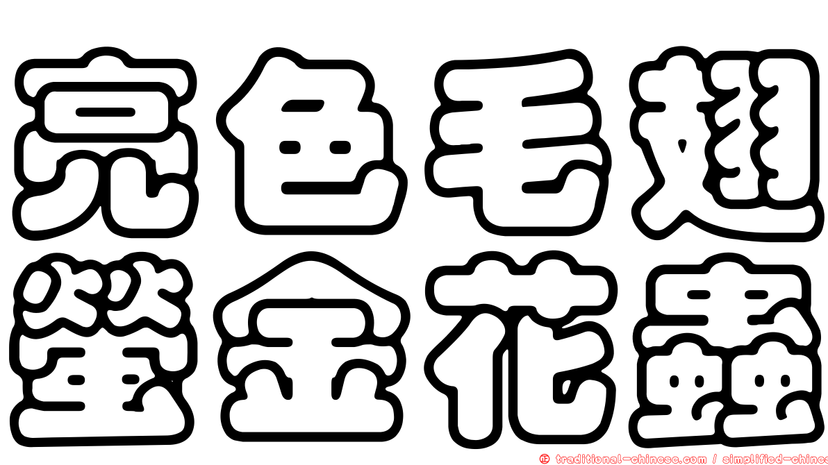 亮色毛翅螢金花蟲