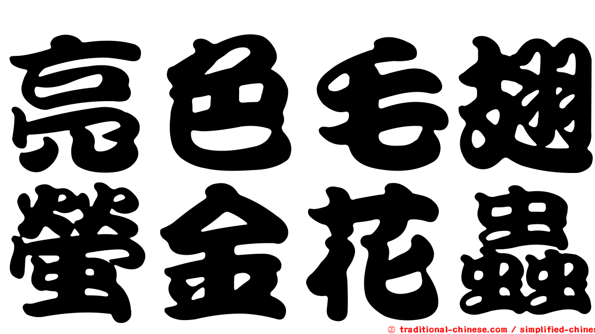 亮色毛翅螢金花蟲