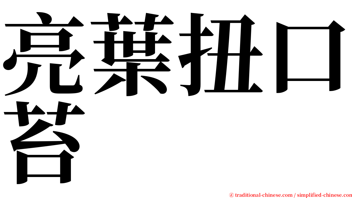 亮葉扭口苔 serif font