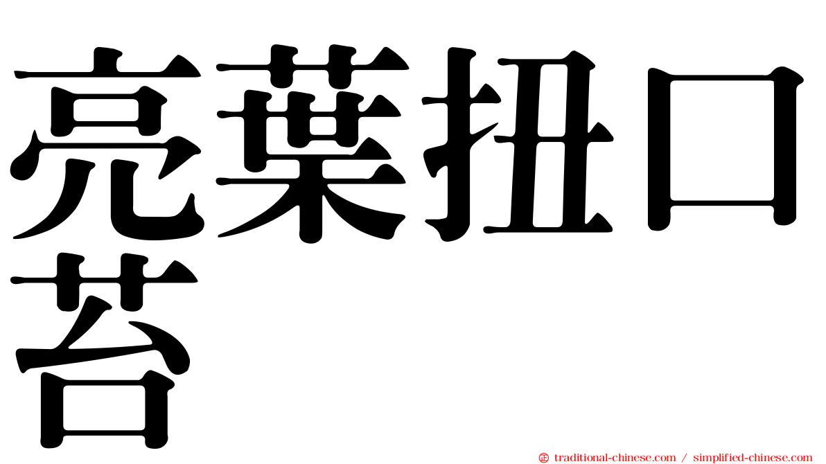 亮葉扭口苔