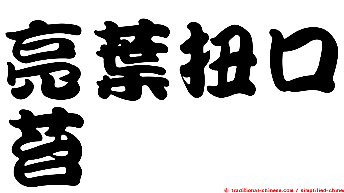 亮葉扭口苔