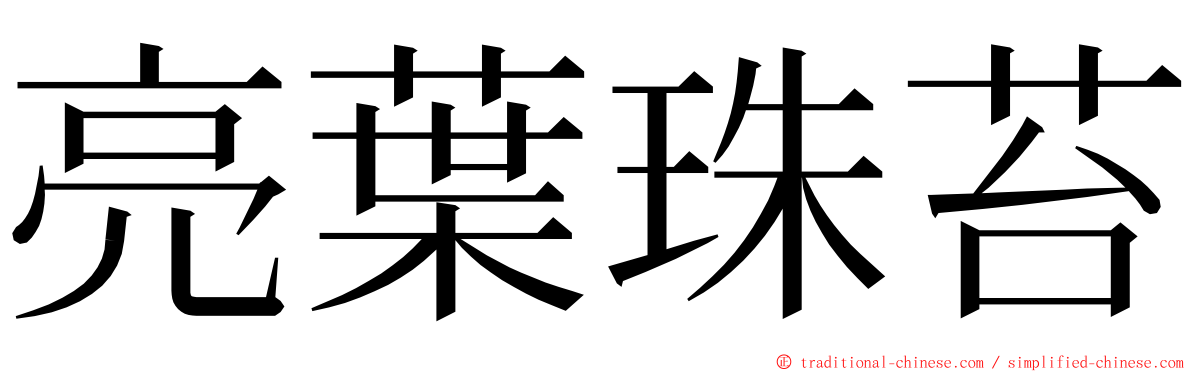 亮葉珠苔 ming font