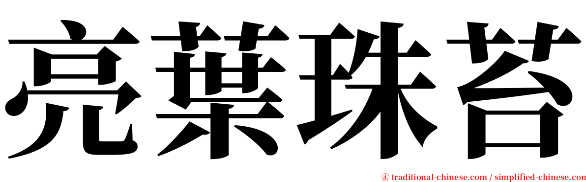 亮葉珠苔 serif font