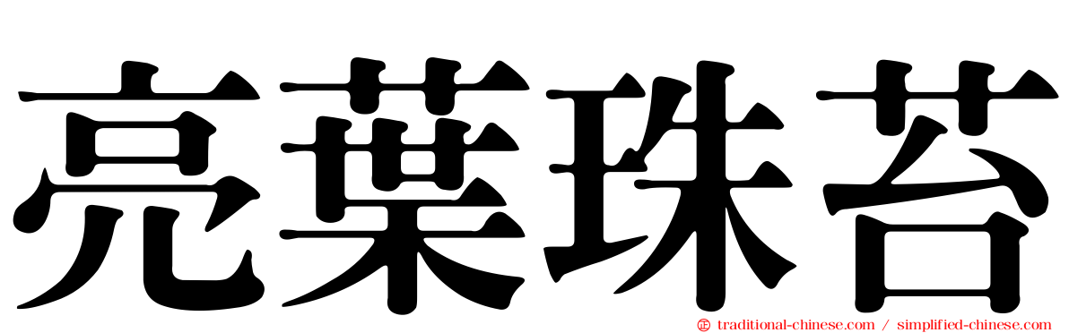 亮葉珠苔