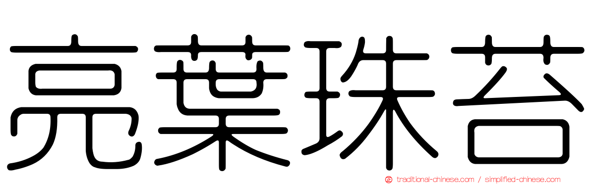 亮葉珠苔