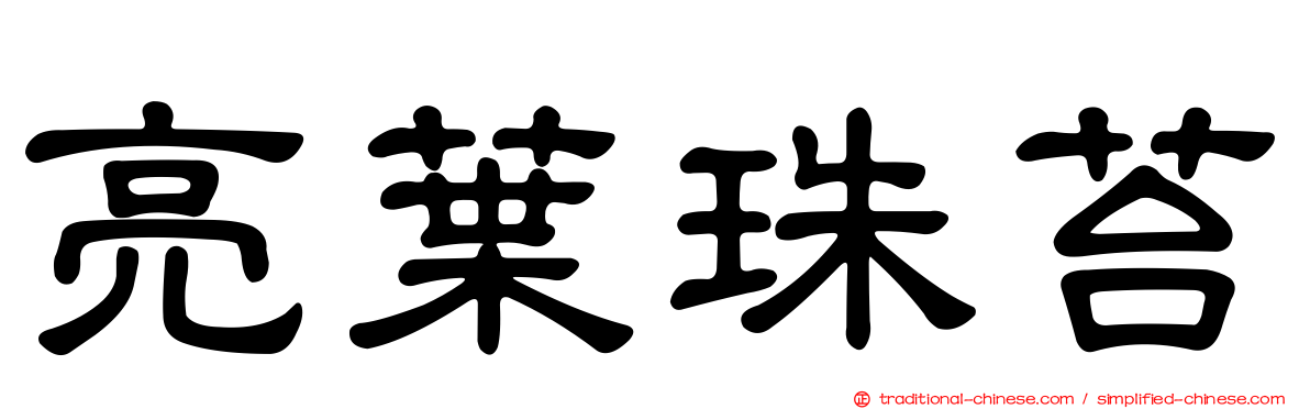 亮葉珠苔