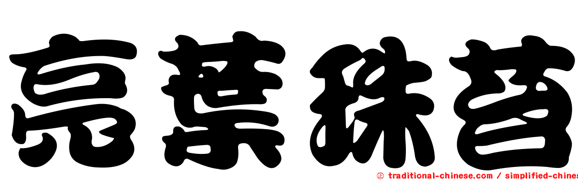 亮葉珠苔