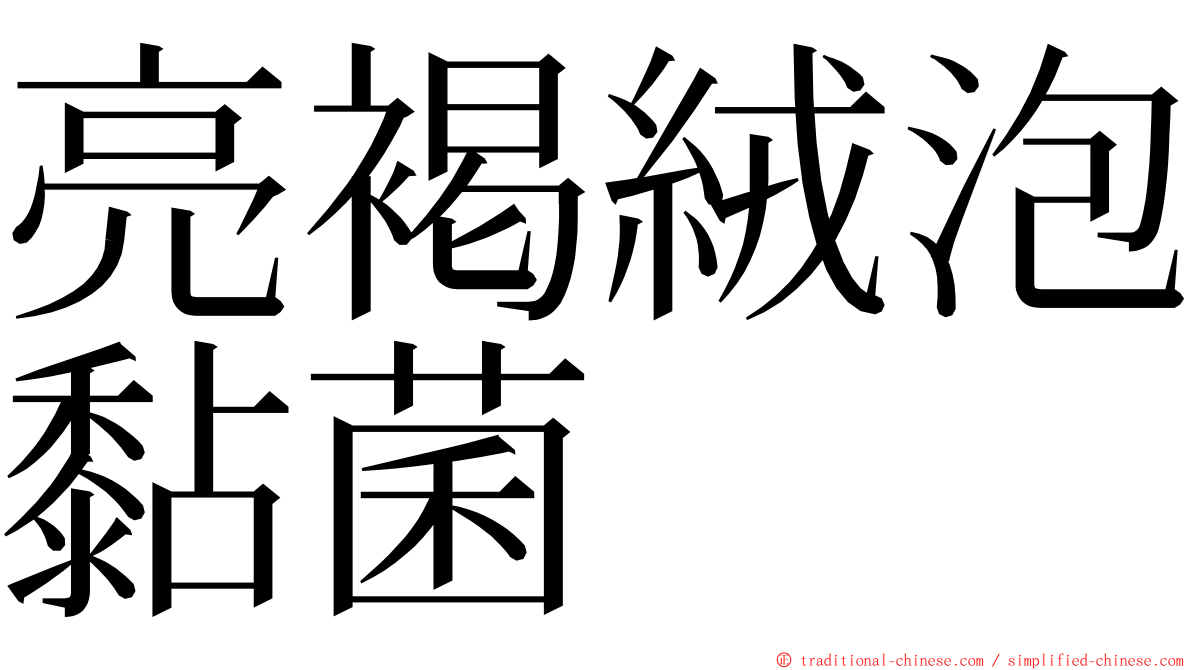 亮褐絨泡黏菌 ming font
