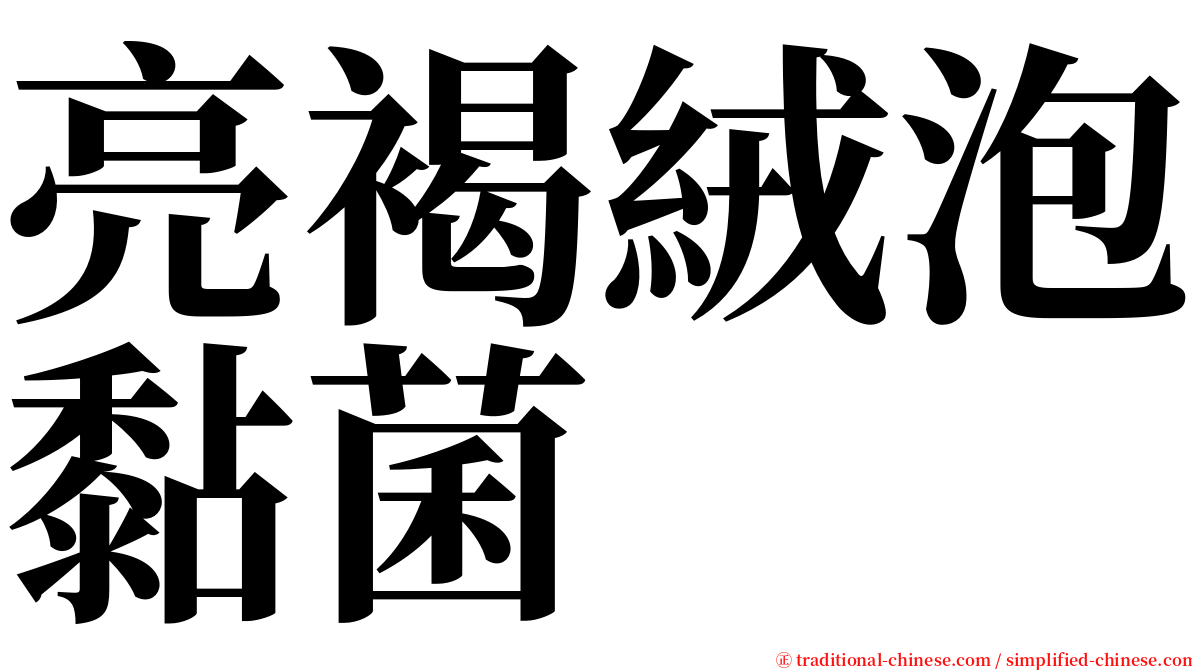 亮褐絨泡黏菌 serif font