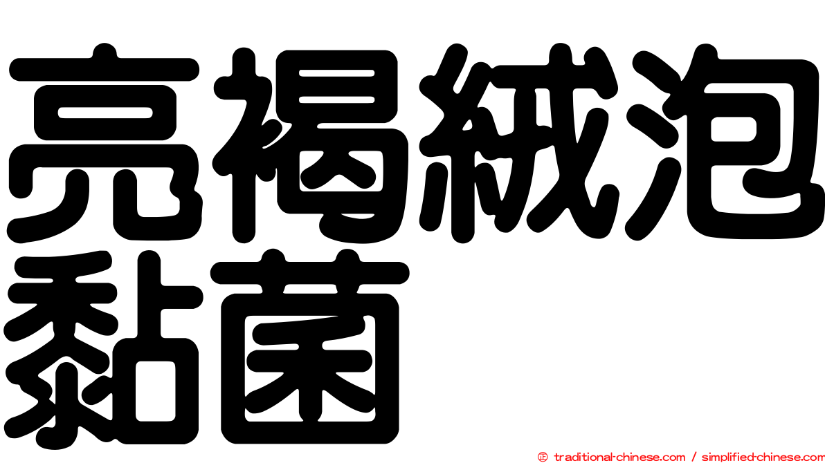 亮褐絨泡黏菌