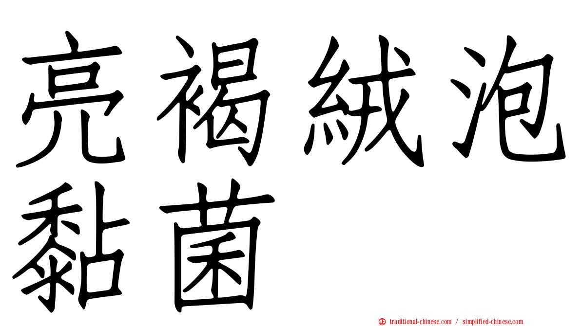 亮褐絨泡黏菌